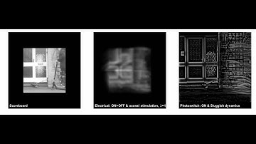 What would the world look like to someone with a bionic eye?