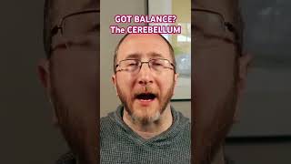 Neuro Exam: DECODE BALANCE?