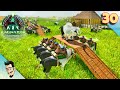 OPTIMISATION et ORGANISATION DU BREEDING ! RAGNAROK EP30  ARK SURVIVAL ASCENDED FR