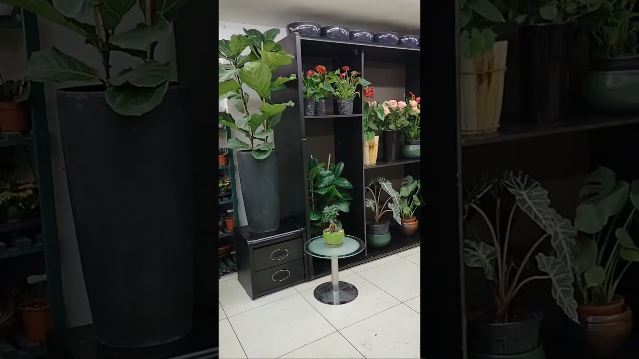 Şişli Çiçekçi | Gülcan Çiçekcilik Mağaza Turu 💐 İstanbul'da Çiçek Siparişi ve Özel Aranjmanlar