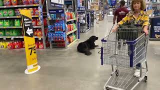 Bosco Takes a Field-trip - Great Mix