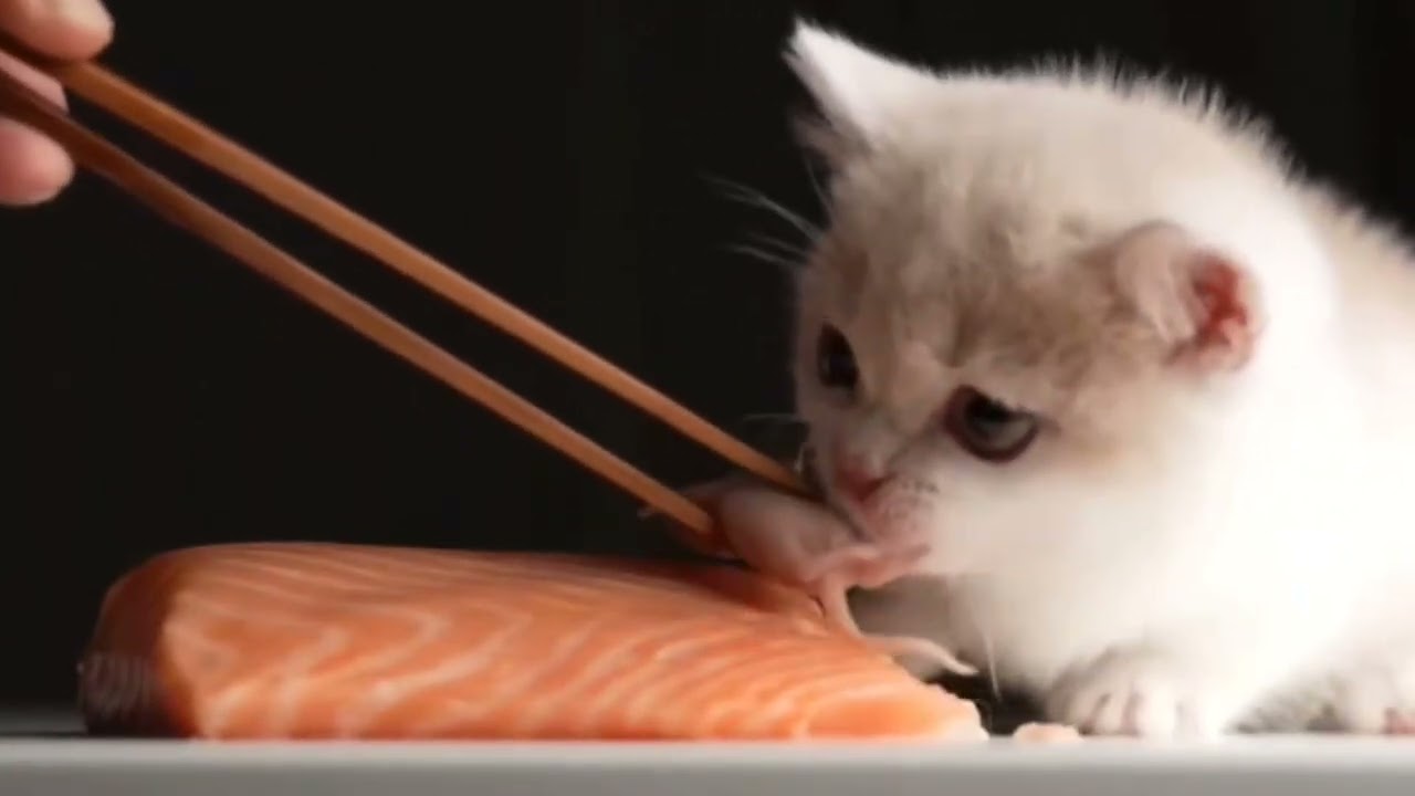 Σᵢƒ(x)Δxᵢ=∫ƒ(x)dx