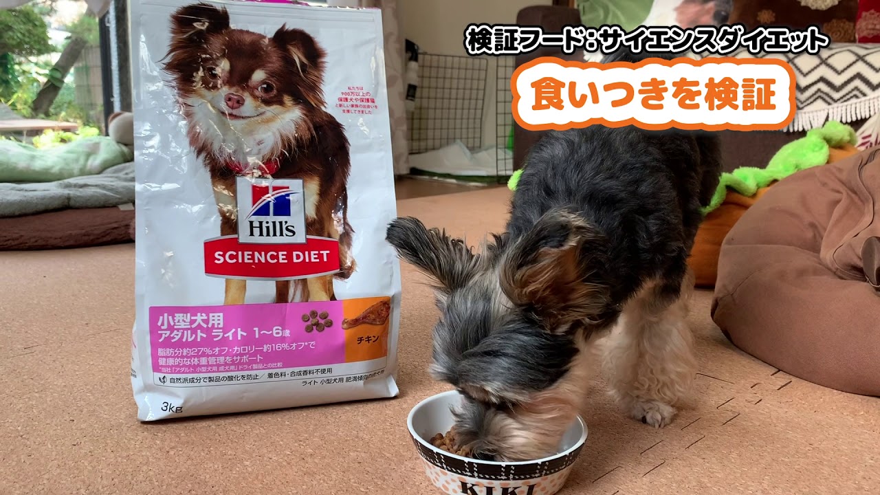 ヒルズサイエンスダイエットの口コミ評判 安全性を徹底検証 獣医師や飼い主の評価は Inunavi いぬなび