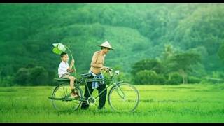 SEVENTEEN-AYAH (Lirik Lagu)Cover by Elma Dwif