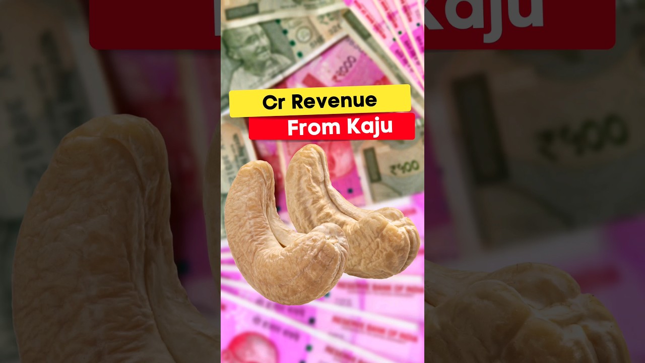 🔥 Earn Crores Revenue From kaju