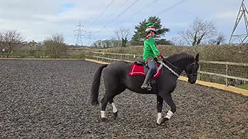 BD intro 3  E-Riders December 2024