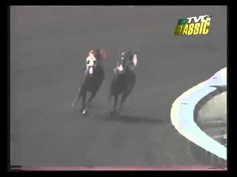 MATCH RACE Quarter Horse vs Thoroughbred - YouTube