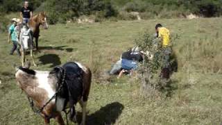 Cavalgada Dos Pintos 2009