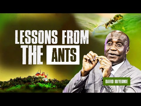 Success Lessons from the Ants | David Ibiyeomie