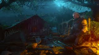 Piotr Musial - For Honor! For Toussaint! | The Witcher 3 ost