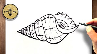 How to draw a conch shell easy step by step