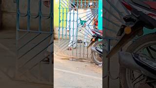 পীরজাদা কাদের সিদ্দিকী ভাইজান এর সাথে কিছু মুহূর্ত shortvideo