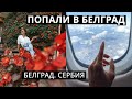 Белград, что посмотреть в столице Сербии [2020]