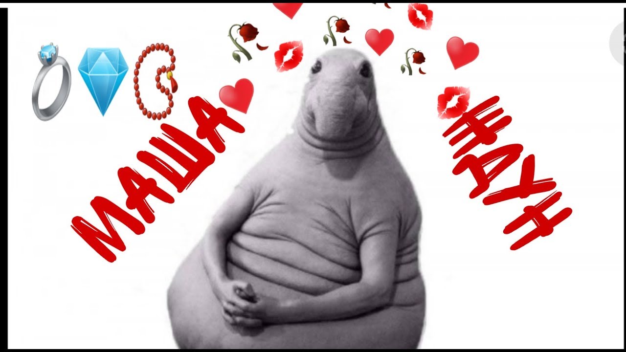 Беременный ждун картинка