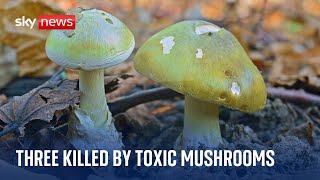 Woman suspected of killing three people with toxic mushrooms arrested in Australia