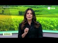 Record News Rural - 05/06/2026