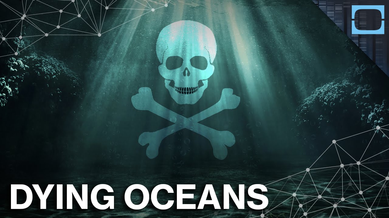 Is It Too Late To Save The Oceans?
