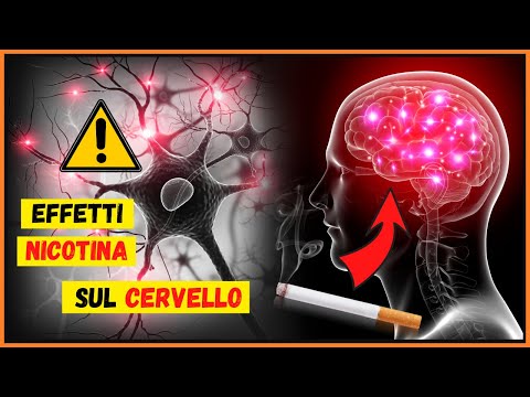 Effetti della nicotina sul cervello: come agisce sul sistema nervoso? Come nasce il vizio del fumo?