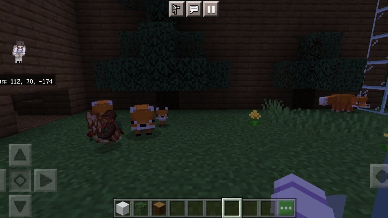 вопрос-ответ /майнкрафт 1.18.02 /КСК Победа ❤️