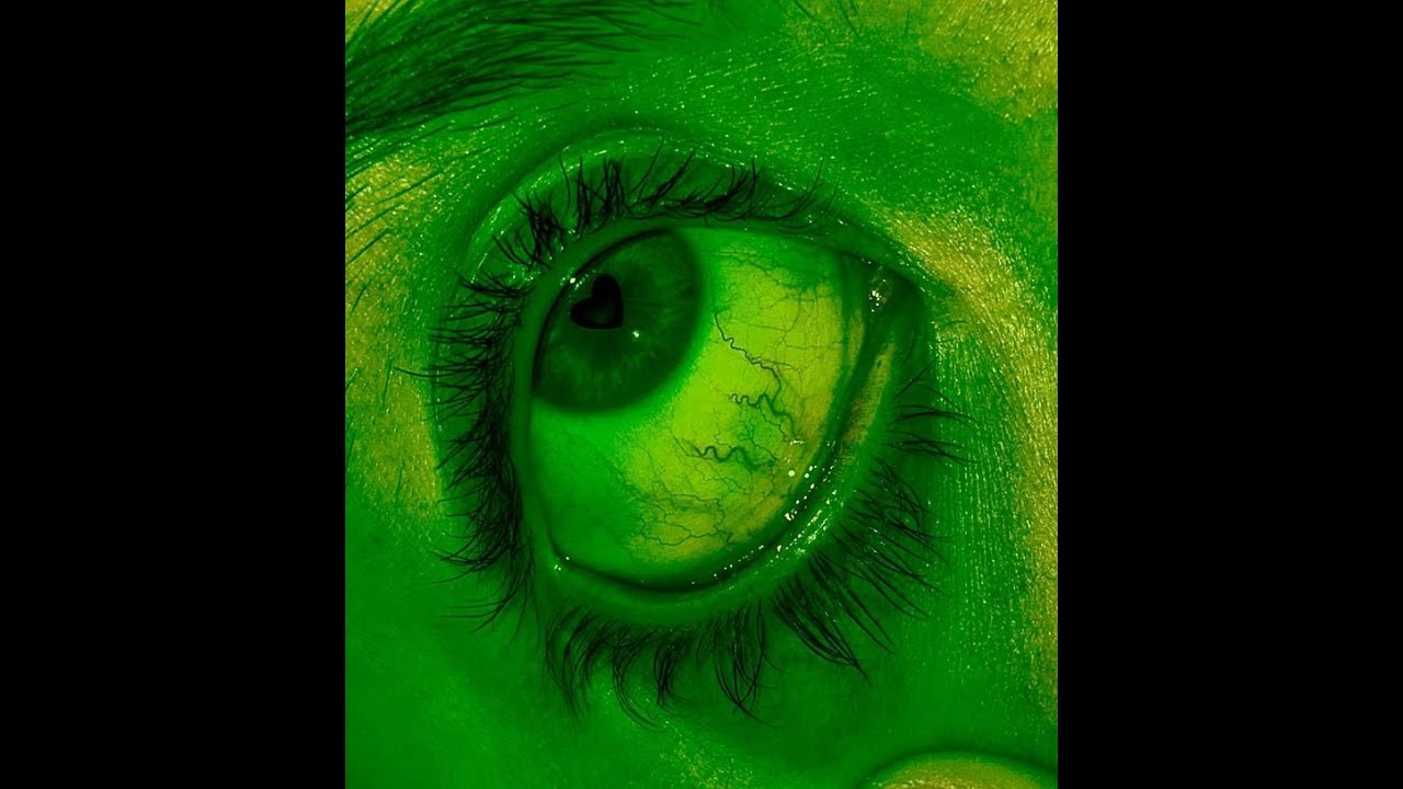 (Free) Nvscvr x  West Coast  x Detroit x PLUG 