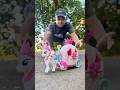🦄 Magical Unicorn Carriage Ride ✨#shortsfeed