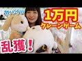 【乱獲！】1万円でUFOキャッチャーでどれだけ景品を取れるのか！【後編】