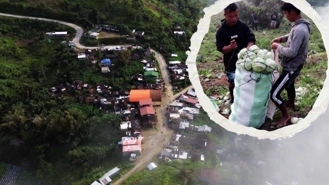 Is this the coldest place in mindanao?