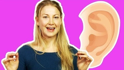 What is Ear Power? | Sci Guide (Ep 2) | Head Squeeze