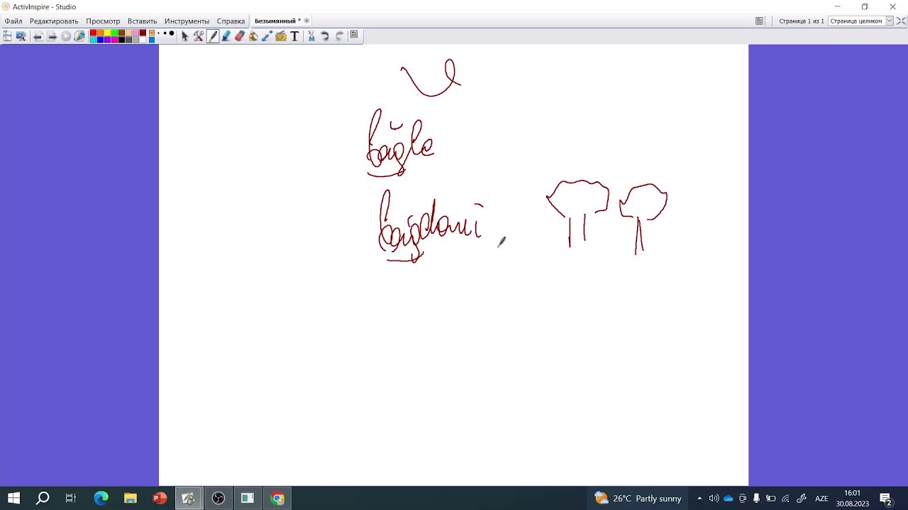 NL Academy Canlı Axın