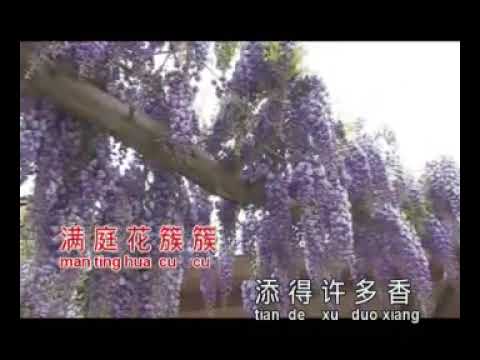 鞍安 - 兰花草 [官方完整版 Official Music Video]