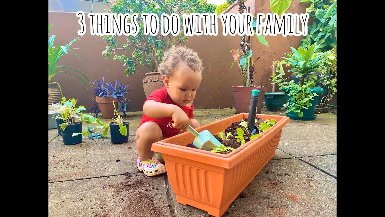 Three Fun Activities For Families During Quarantine YouTube