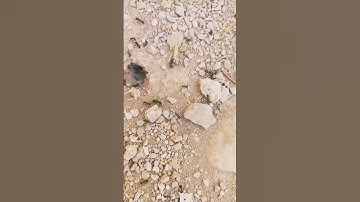 • تلاوة تصويرية من سورة النمل | بصوت القارئ إسلام صبحي _من أشهر التلاوات وأجملها _