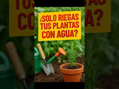 'El Truco Casero