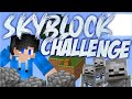 Skyblock Chl in Minecraft #minecraft #minecraftshorts #minecraftvideos #minecraftmemes #trending