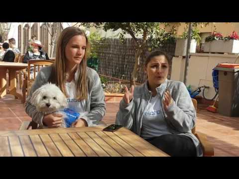 Vídeo: La Reflexologia Beneficia Els Gossos?