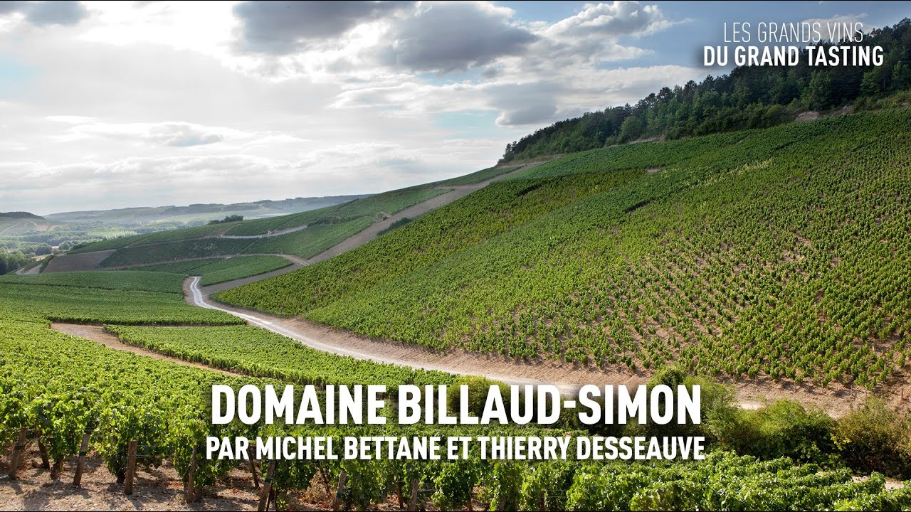 Les grands vins du Grand Tasting : Domaine Billaud-Simon