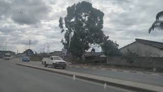 Roadside Tree