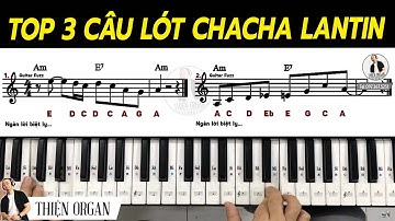 TOP 3 CÂU LÓT Organ Chacha Latin - Áp Dụng 100 Bài Hát || THIỆN ORGAN