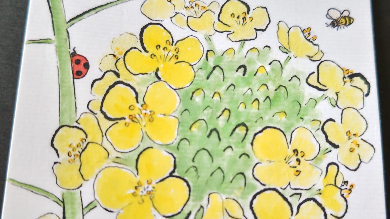 絵手紙始めました 40菜の花 picture letter 40 Canola flower - YouTube