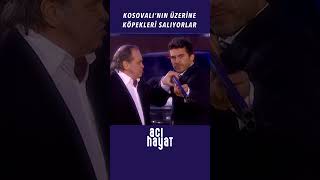 Kosovalının Üzerine Köpekleri Salıyorlar - Acı Hayat 8. Bölüm