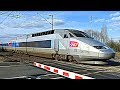 [Compilation] - Trains SNCF TGV, TER, Intercités, OUIGO autour du Mans