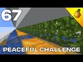 Peaceful Challenge #67: We Need Vines For Mossy Stone