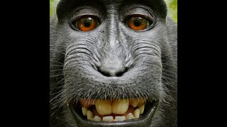 [DeepWoken] Blue Ball Monkey Man Progression
