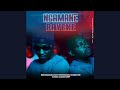 Reece Madlisa - Ngamane Bayeke feat. Proffessor, CharacterSix40 & Classic Deep