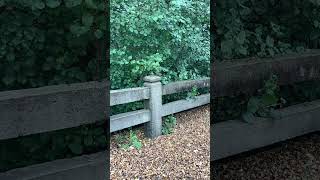 582.  Coffee Break (express) It’s everything with our God, and our God does it good.