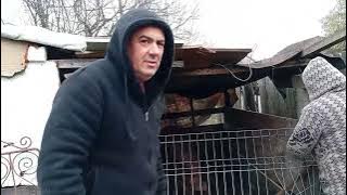 What gift does Andrea receive from her grandparents?