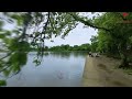 Walking Tour of The National Mall: Discover Washington D.C.'s Historic Landmarks