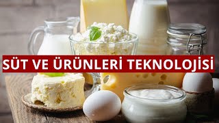 Süt Ve Ürünleri Teknolojisi Bölümü Tercih Edilmeli Mi?