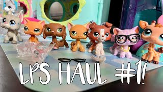First Lps Haul Main 5 Unboxings Amazon, Mercari, & Lpsqueen Lps Hauls