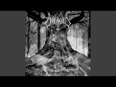 Master Of The Ancient Art Video